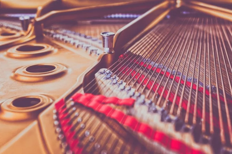 Phục Hồi Piano Hậu Thiên Tai: Bí Quyết Đánh Bại Mối Mọt, Nấm Mốc & Lấy Lại Âm Th