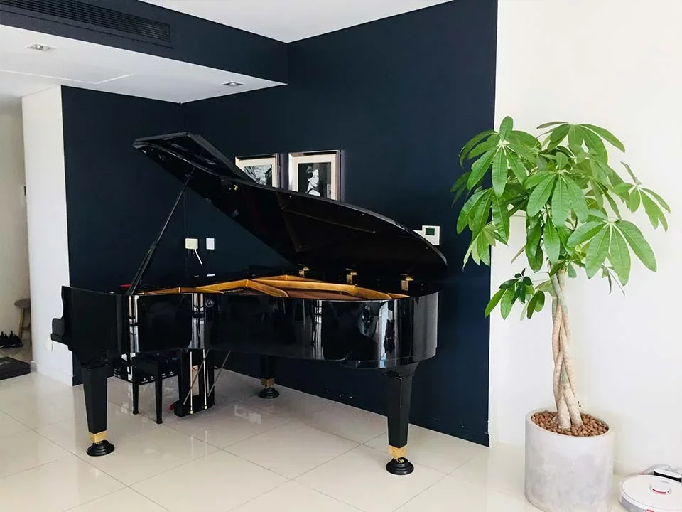 PIANO APOLLO A30 - Chi tiết 1