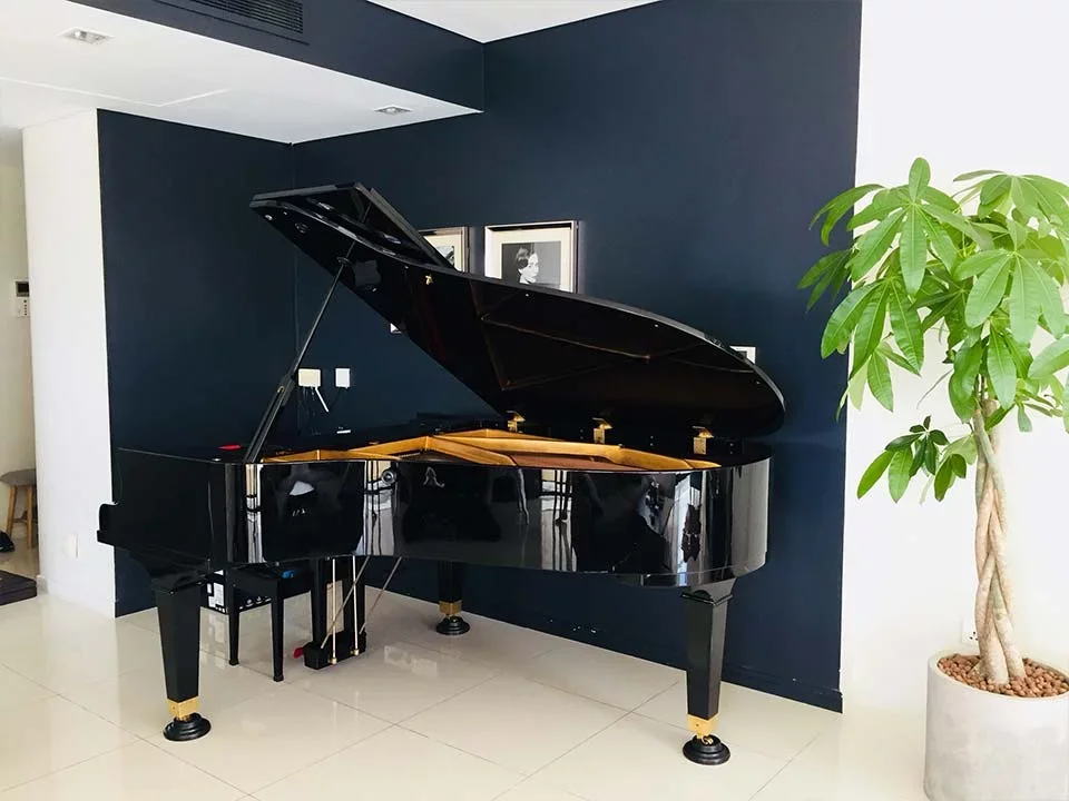 PIANO APOLLO A30 - Chi tiết 2