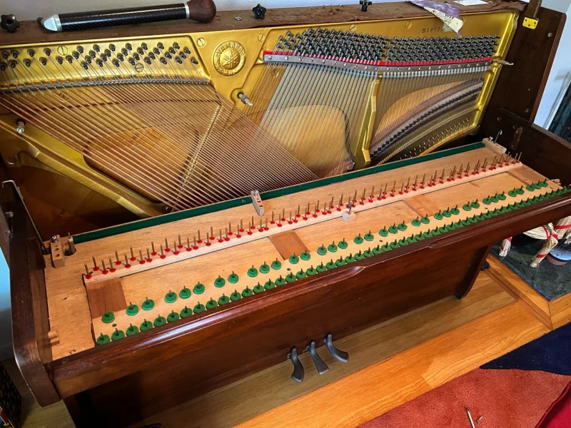 Đàn Piano Lâu Không Lên Dây Có Sao Không? Hồi Sinh Âm Thanh & Ngăn Ngừa Hư Hỏng 