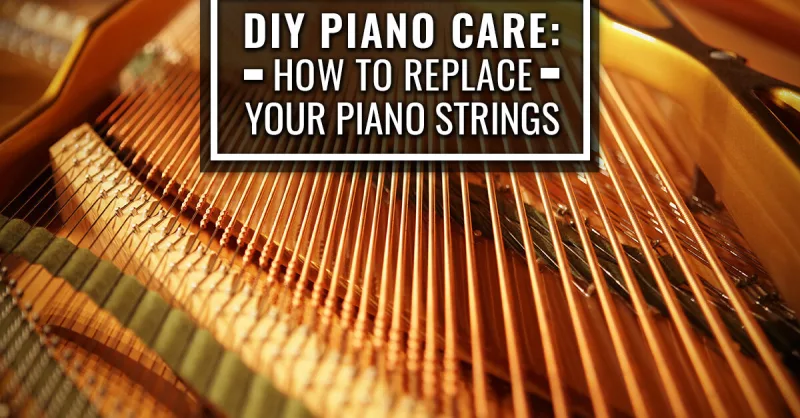 Hồi Sinh "Người Ngủ Đông": Bí Quyết "Đánh Thức" Đàn Piano Lâu Năm "Tỉnh Giấc" Vớ