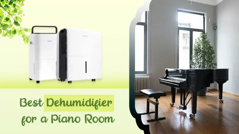 Bảo dưỡng piano