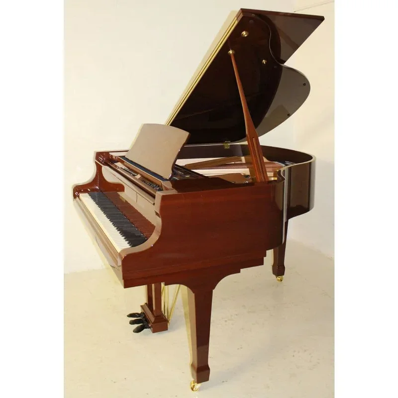 Ritmuller RS150 - Chi tiết 1