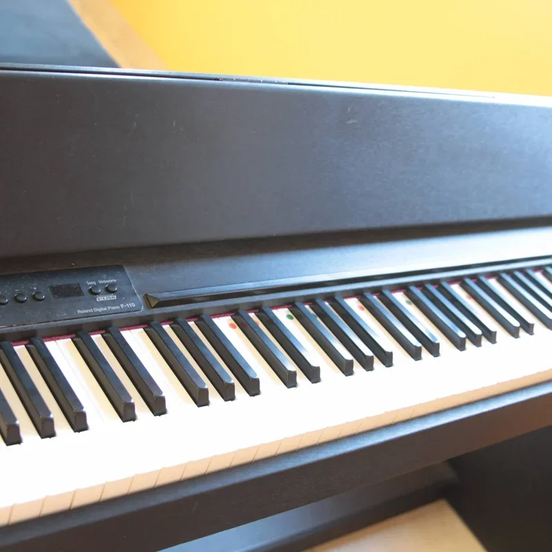 ROLAND F-110 B - Chi tiết 1