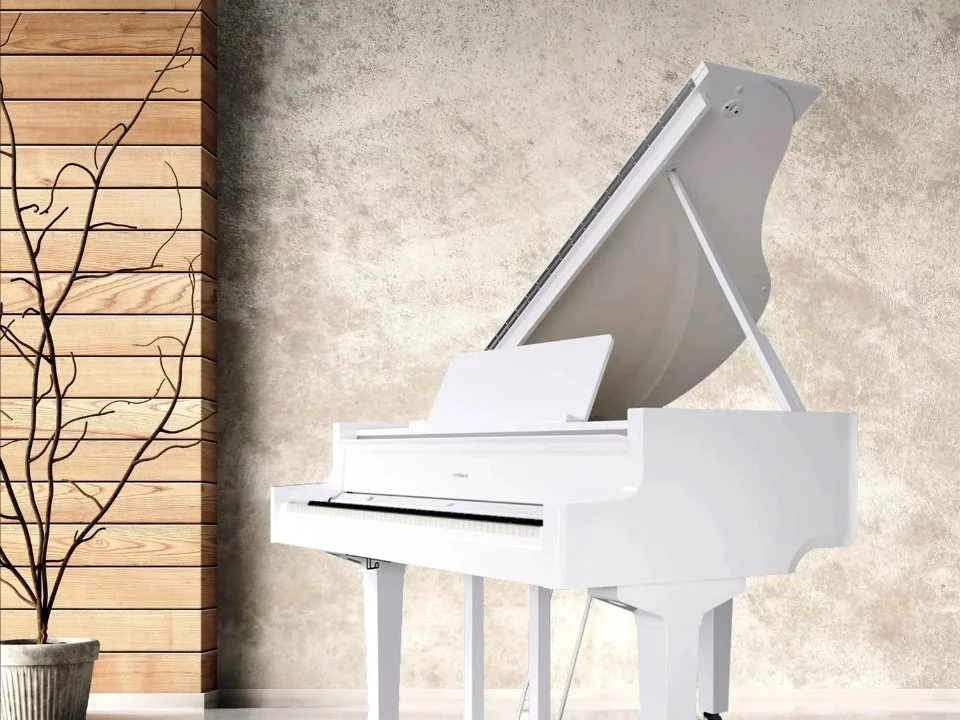 ROLAND GP-9 PW - Hình ảnh chính