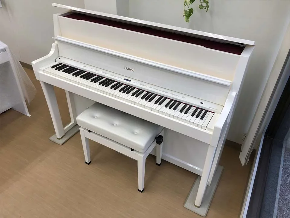 ROLAND LX-15 PW - Chi tiết 2