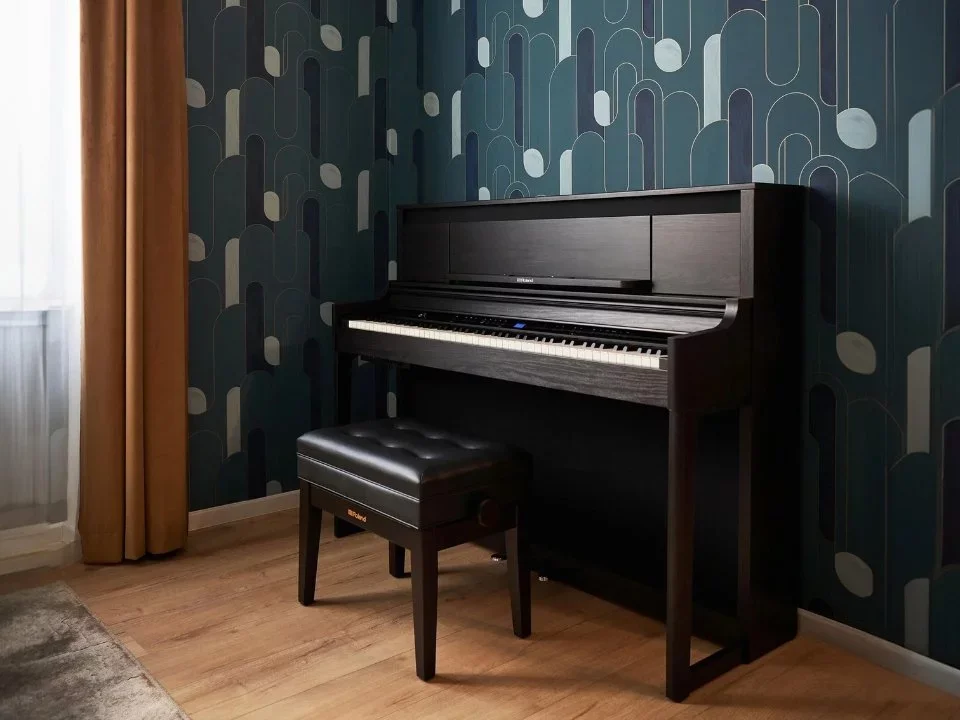 ROLAND LX-6 DR - Hình ảnh chính