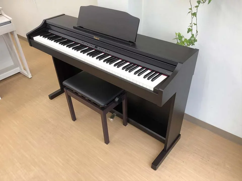 ROLAND RP-401 RW - Hình ảnh chính