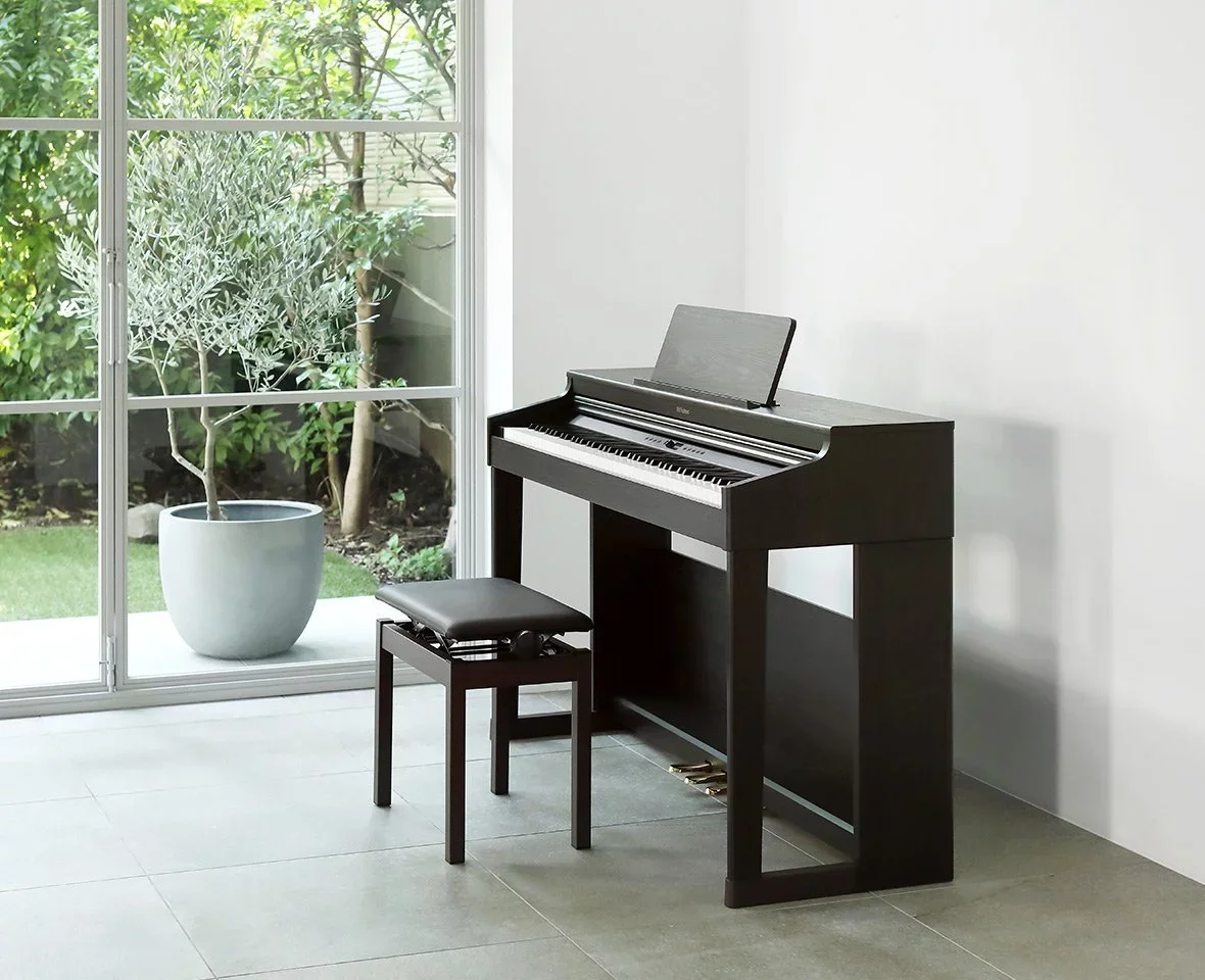 ROLAND RP-701 CB - Chi tiết 1