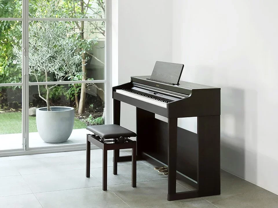 ROLAND RP-701 DR - Hình ảnh chính