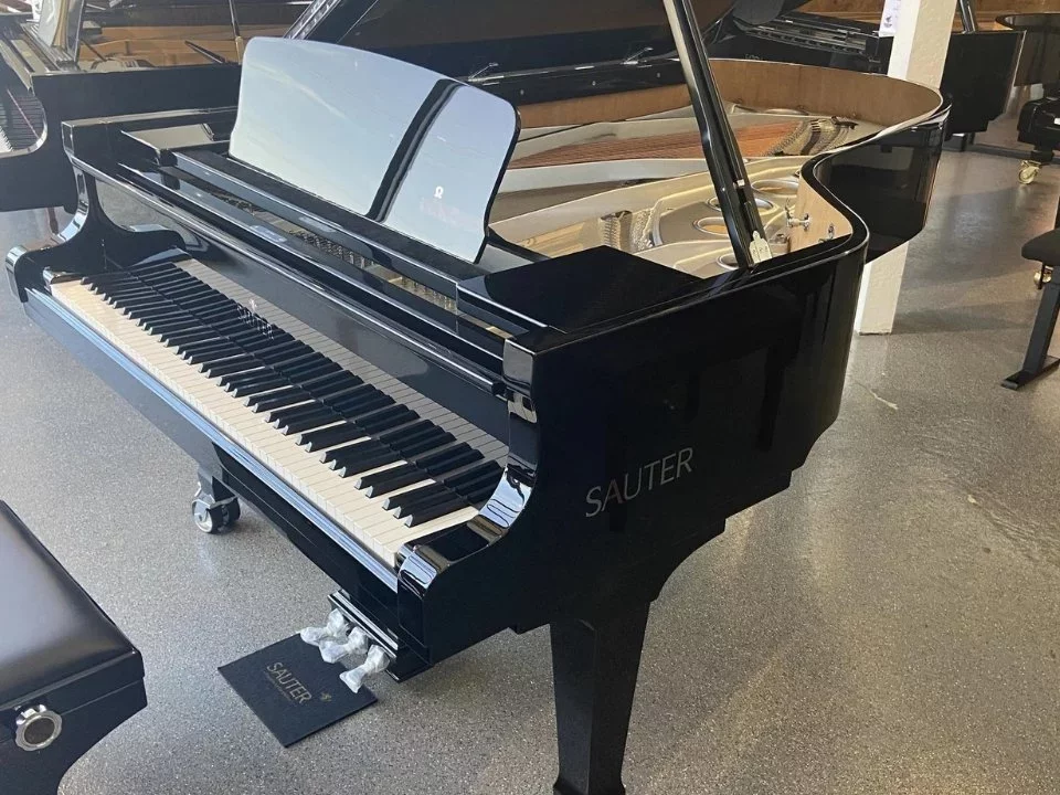 Sauter 220 Omega (USED) - Chi tiết 2