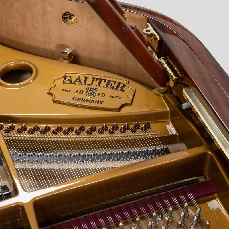 Sauter Alpha 160 Mahogany - Chi tiết 1