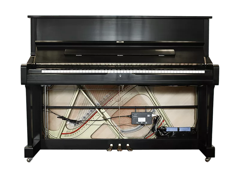 Bảo dưỡng piano
