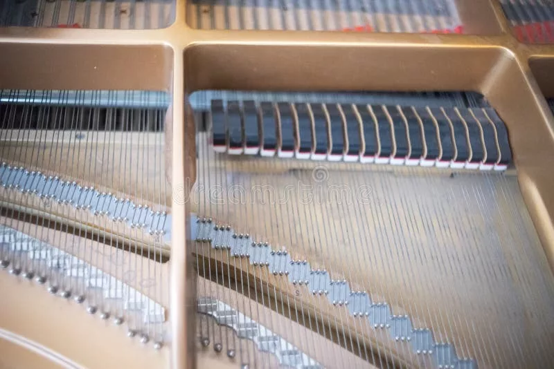Tiếng Piano Bị Rè: Đánh Bay "Tạp Âm Khó Chịu" Từ Vấn Đề Dây Đàn Đến Cơ Chế Phức 