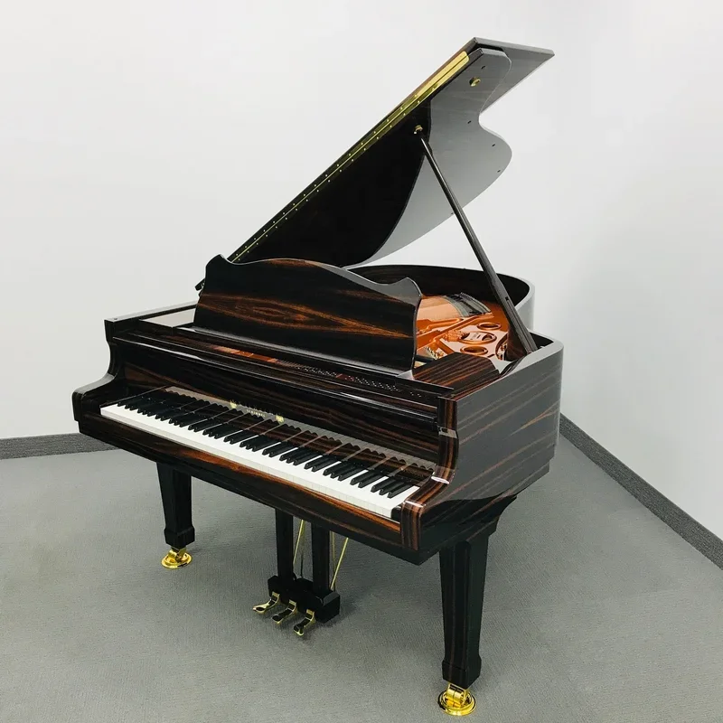 Wilhelm Schimmel W180 Tradition (Ebony High Gloss) - Chi tiết 1