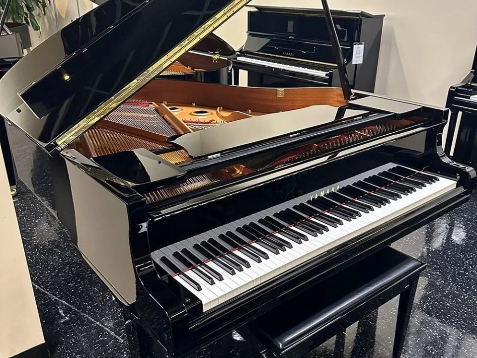 YAMAHA DGC1 ESNT PE - Chi tiết 1