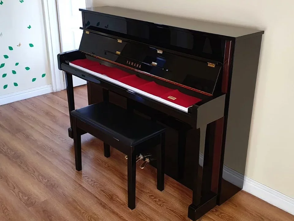 YAMAHA JX113T PE - Chi tiết 1