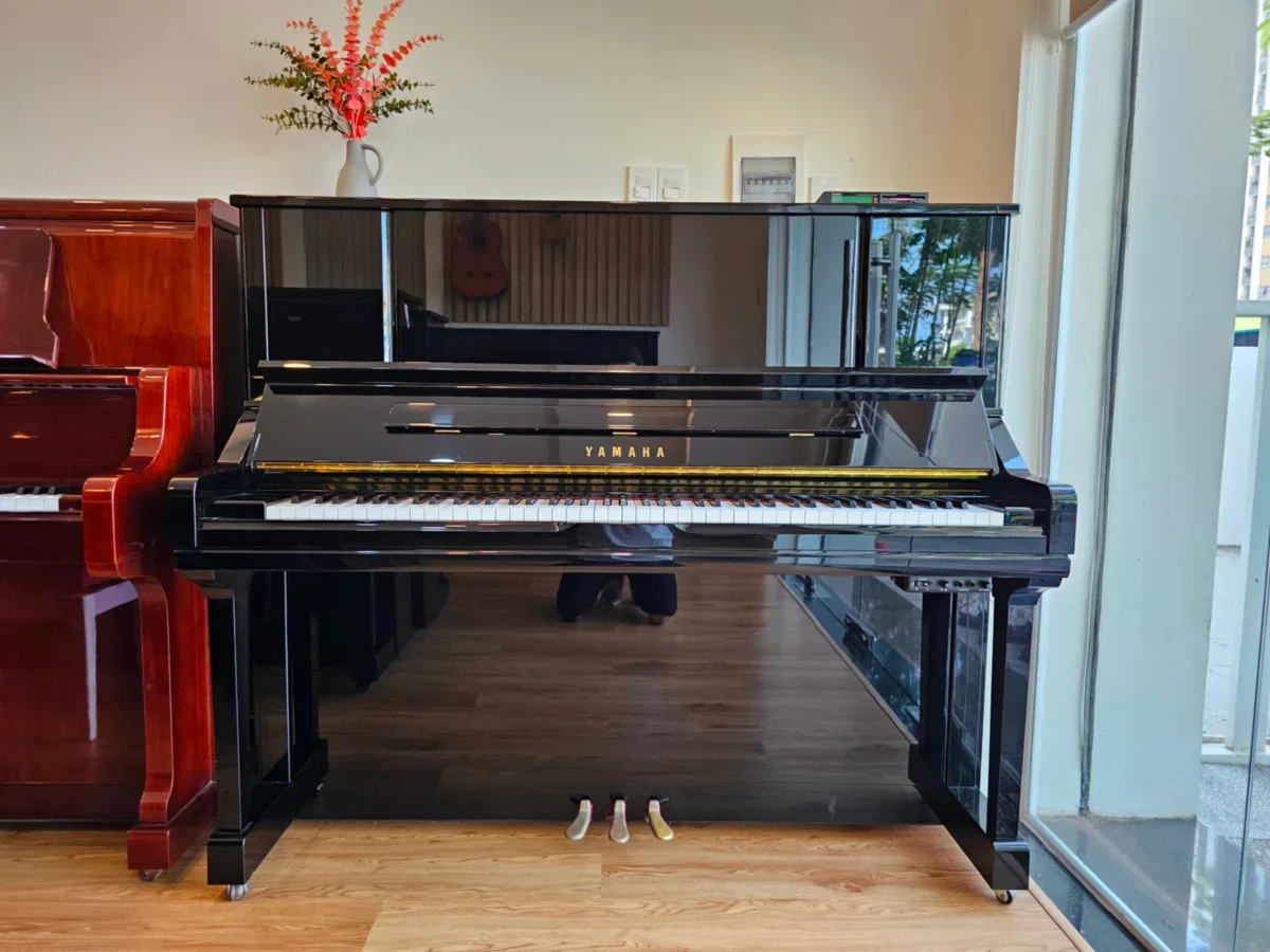 YAMAHA YU33 - Chi tiết 1