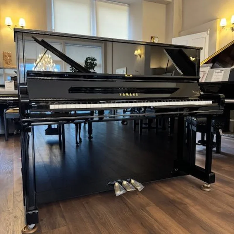 YAMAHA YUS1 SE - Chi tiết 2