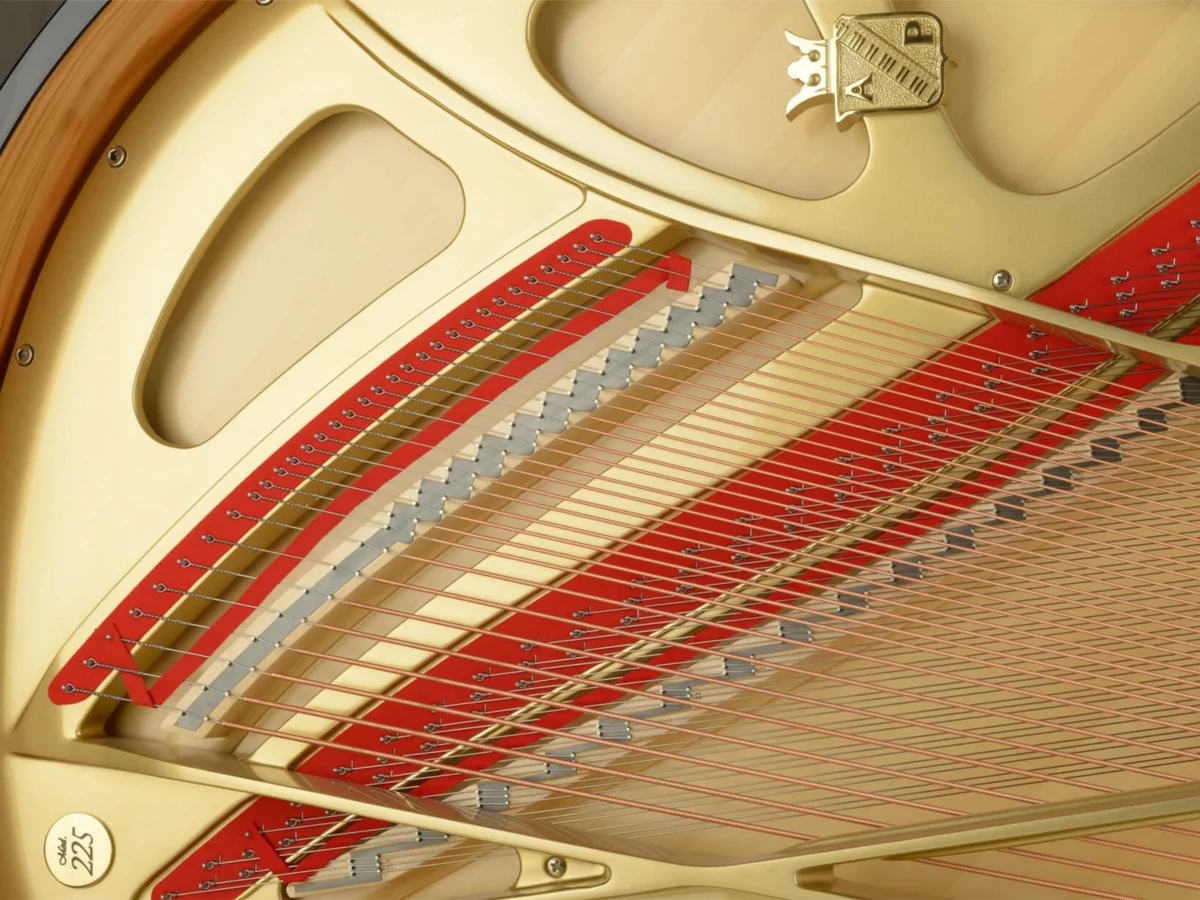 Review ANT. PETROF 225 – Hình ảnh thực tế tại showroom Elite Piano