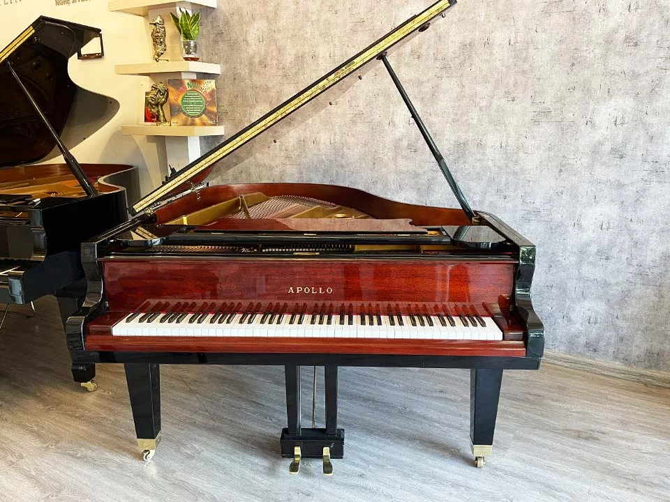APOLLO A30 MH - Elite Piano