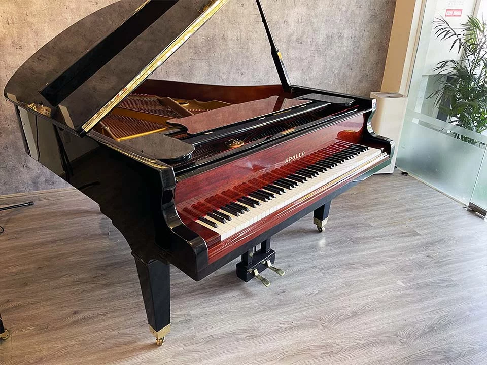 APOLLO A30 MH - Elite Piano