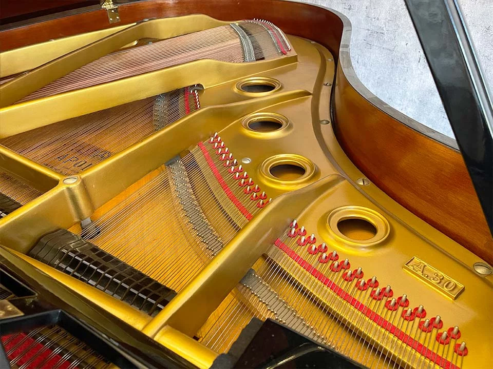 APOLLO A30 SM - Elite Piano