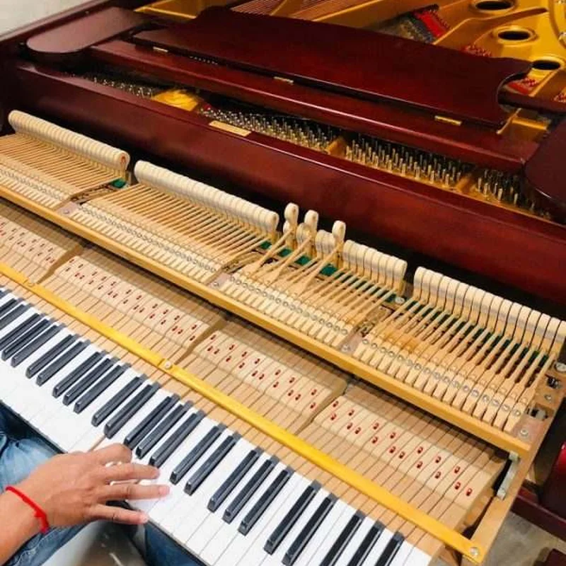APOLLO A30 SM - Elite Piano