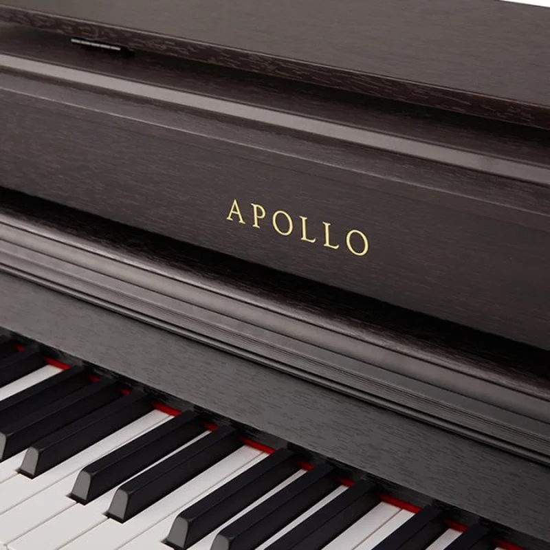 Apollo DP-260N