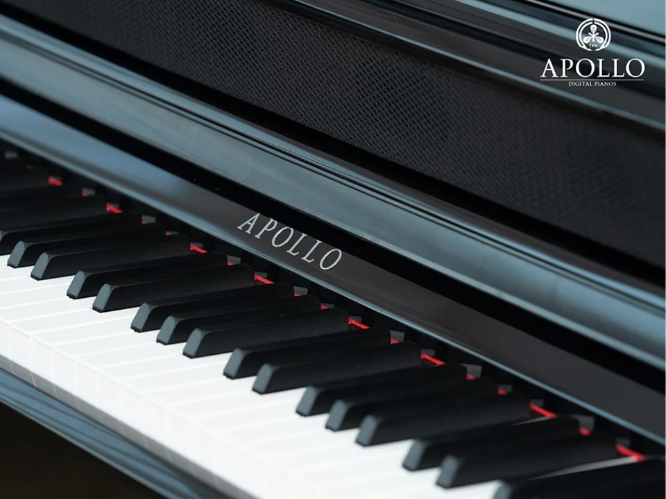 Đàn piano Apollo Apollo KP-88 – Chi tiết bàn phím