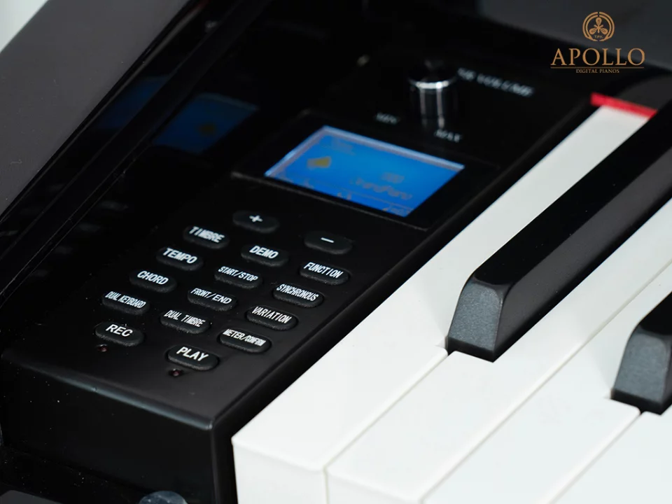 Review Apollo KP-88 – Hình ảnh thực tế tại showroom Elite Piano