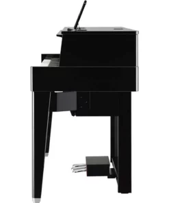 AVANT GRAND N1 (USED)