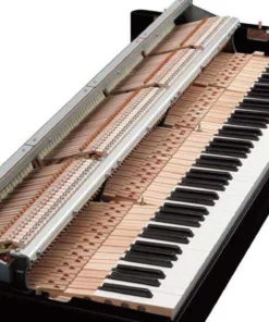 AVANT GRAND N1 (USED)