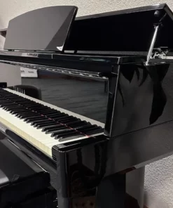 AVANT GRAND N2 (NEW)