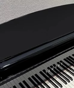 AVANT GRAND N2 (NEW)