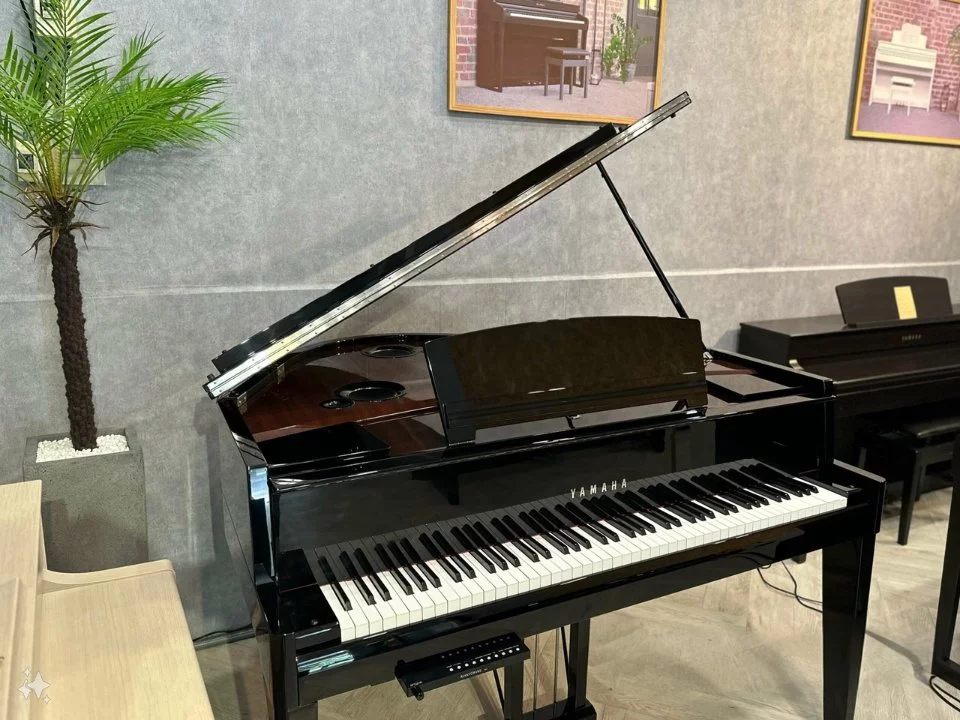 AVANT GRAND N3 (USED)