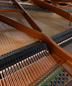 Bösendorfer 170 (USED)