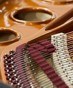 Bösendorfer 180 (Rebuilt)