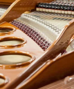 Bösendorfer 180 (Rebuilt)