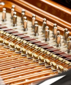 Bösendorfer 180 (Rebuilt)