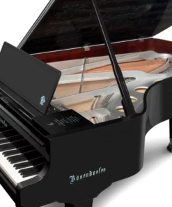 250 Years Beethoven