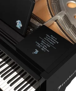 250 Years Beethoven