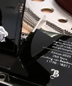 250 Years Beethoven