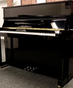 Blüthner Model A
