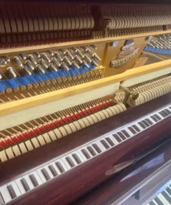 Blüthner Model A