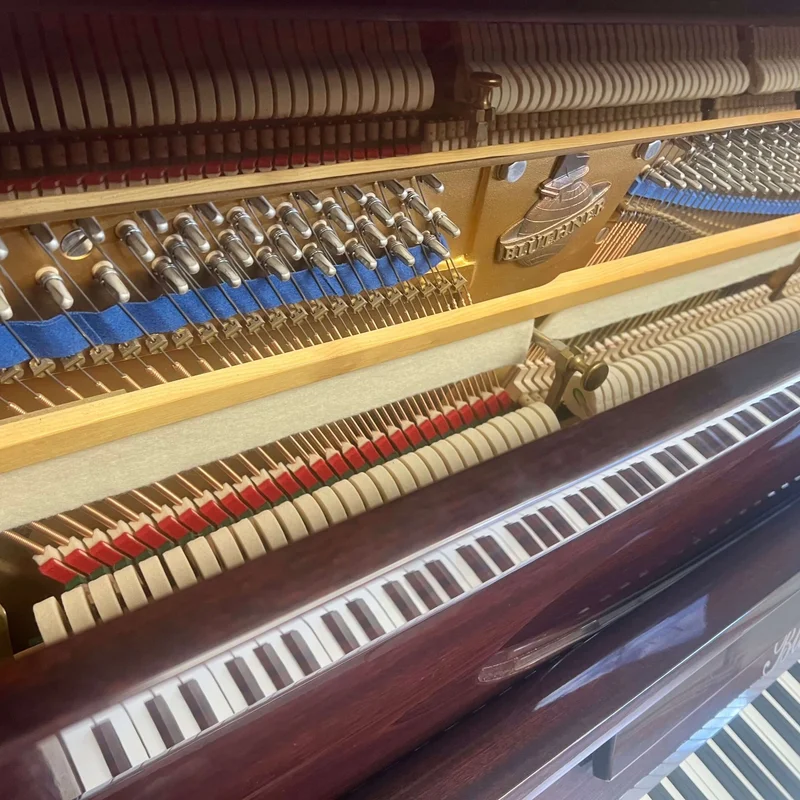 Blüthner Model A
