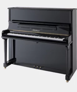 Blüthner Model B
