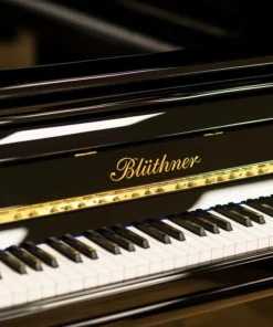 Blüthner Model B