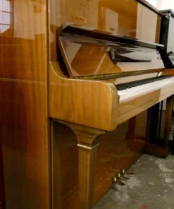 Blüthner Model B