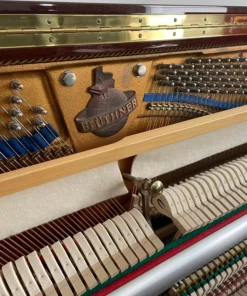Blüthner Model B